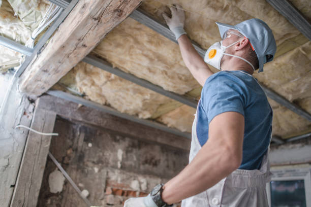 Best Insulation Installation Services in New Brighton, MN