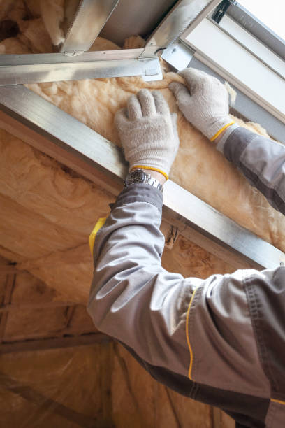 Types of Insulation We Offer in MN